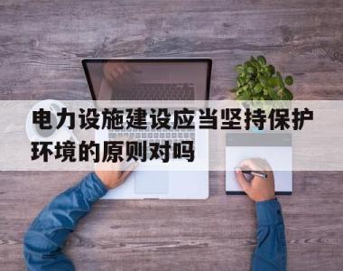 关于电力设施建设应当坚持保护环境的原则对吗的信息