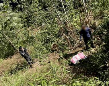 四川宣汉一男子骑摩托车7次进玉米地偷玉米，被警方抓获返还550斤