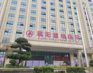 “医院倒卖出生证明”事件爆料者被襄阳市副市长、公安局局长约见，案件已提级侦办
