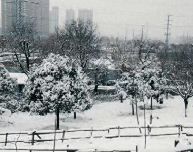 强降雪来袭！西安连发预警，陕西多条高速实行交通管制
