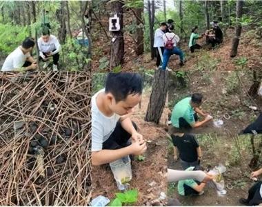 丰台：首次在城六区发现亚洲狗獾分布