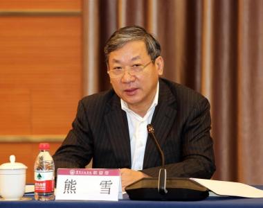 搞形式主义、虚报造假，重庆市原副市长熊雪被开除党籍