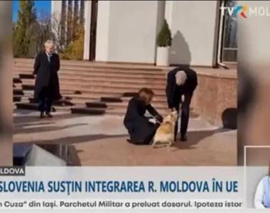 奥地利总统访问时被摩尔多瓦总统的爱犬咬了，媒体拍到他“手缠绷带”会谈
