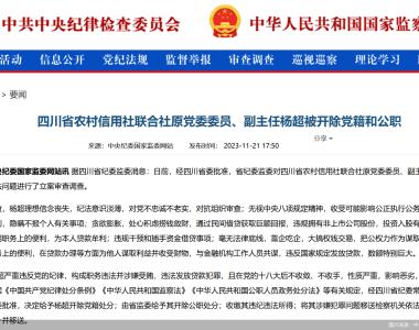 四川省农村信用社联合社原党委委员、副主任杨超被开除党籍和公职