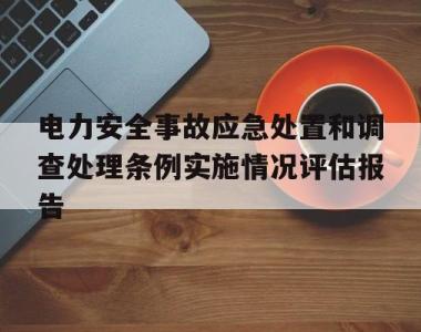 包含电力安全事故应急处置和调查处理条例实施情况评估报告的词条