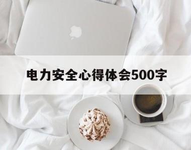 电力安全心得体会500字(电力安全心得体会300字左右)