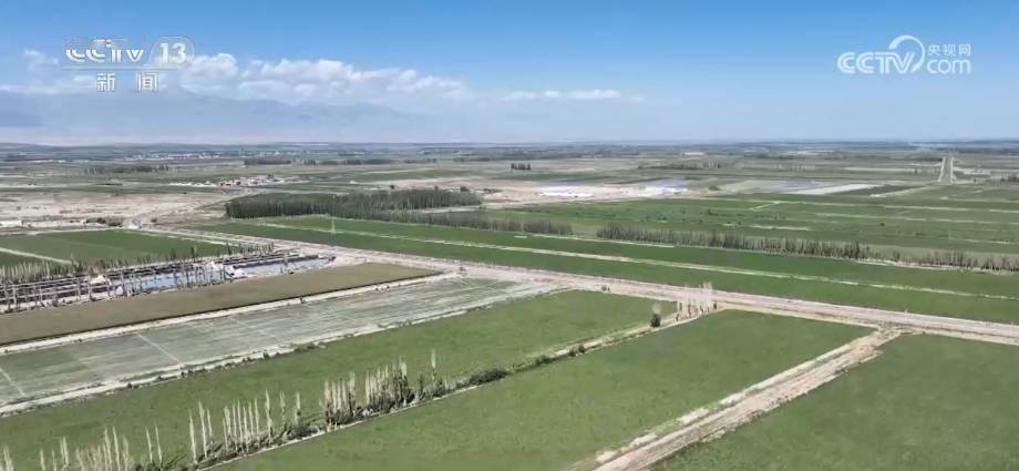 “新农具”“新要素”“新农人”……数字技术赋能新疆农业 提升土地利用精准度