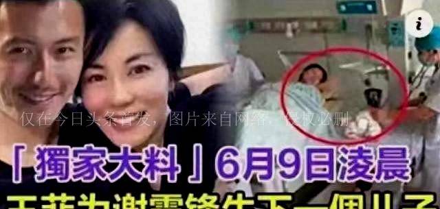 谢霆锋辟谣王菲产子宣称两人没有生育计划，张柏芝被曝不是单身。