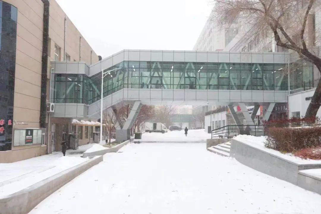 火了！大雪天哈尔滨这所高校学生穿着单衣去上课！