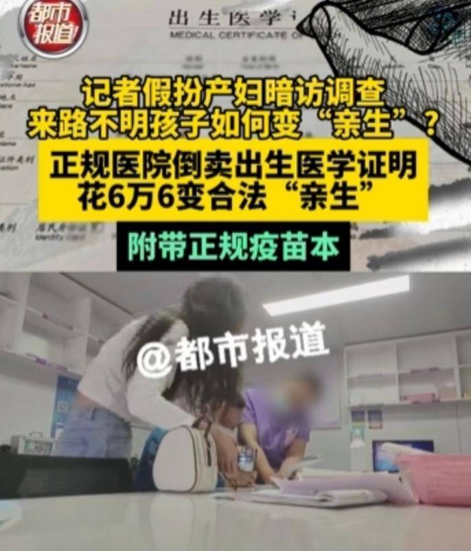 “请女院长现形”背后高人竟是他！曾卧底缅北，上演教科书式反杀