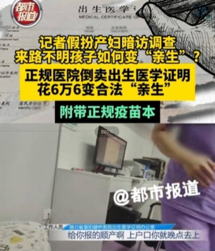 “请女院长现形”背后高人竟是他！曾卧底缅北，上演教科书式反杀