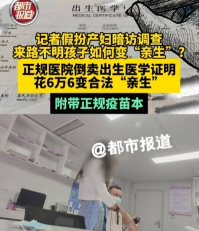 “请女院长现形”背后高人竟是他！曾卧底缅北，上演教科书式反杀