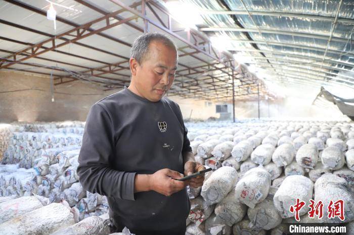 内蒙古兴安盟：手机遥控种果蔬 田里比拼科技感