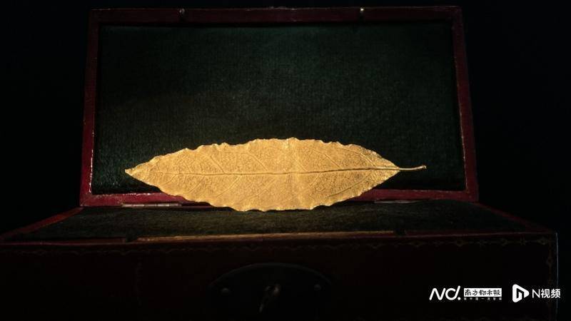 图览进博会：吃刀尖上的火腿片，看拿破仑王冠上的金叶子