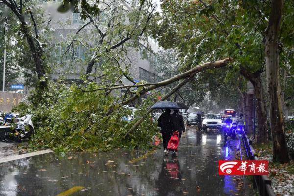 雷暴中西安迎来今冬暴雪级初雪！相关部门：实属罕见