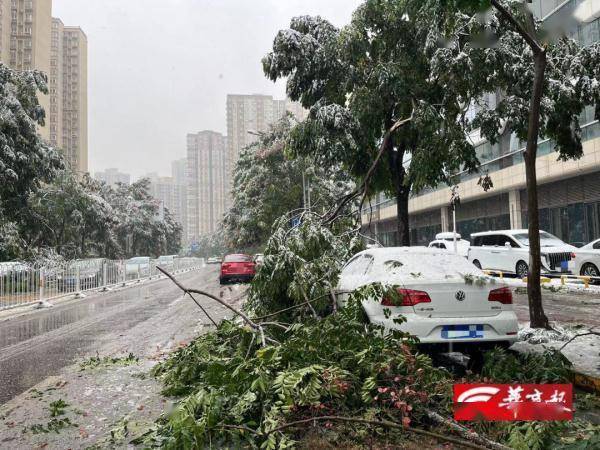 雷暴中西安迎来今冬暴雪级初雪！相关部门：实属罕见