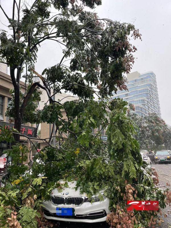 雷暴中西安迎来今冬暴雪级初雪！相关部门：实属罕见