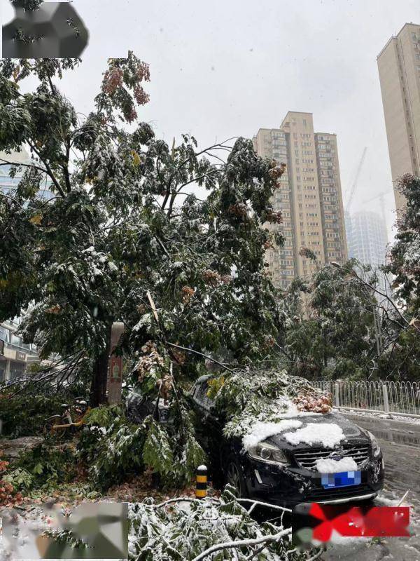 雷暴中西安迎来今冬暴雪级初雪！相关部门：实属罕见