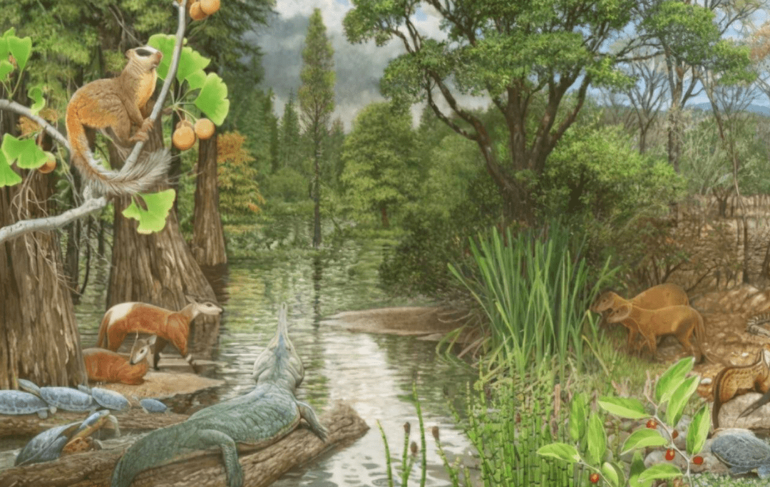 5800万年前，地球曾发了一次“高烧”，孕育了史上最大的蛇