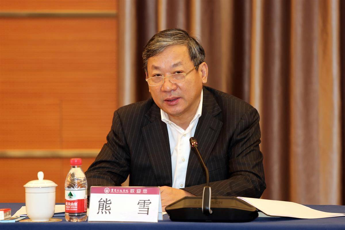 搞形式主义、虚报造假，重庆市原副市长熊雪被开除党籍