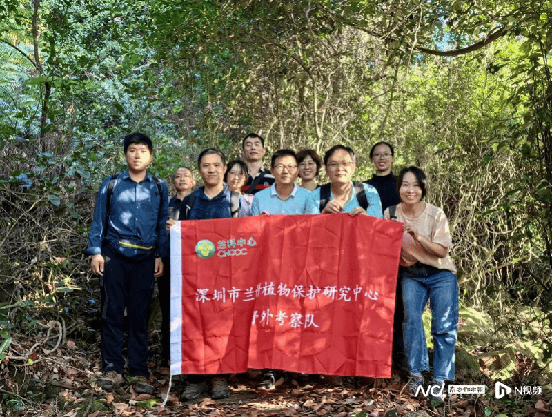 野外调查新发现！广东中山再添4种野生兰科植物