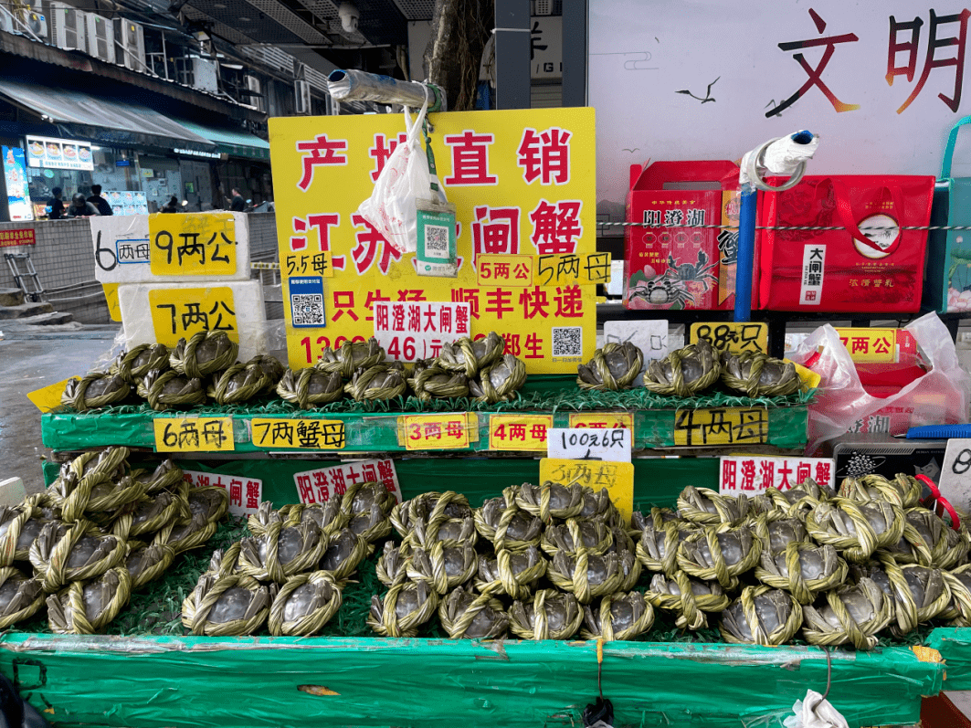 价格大幅跳水，“今年是最便宜的一年”，广州人反而冷静了……