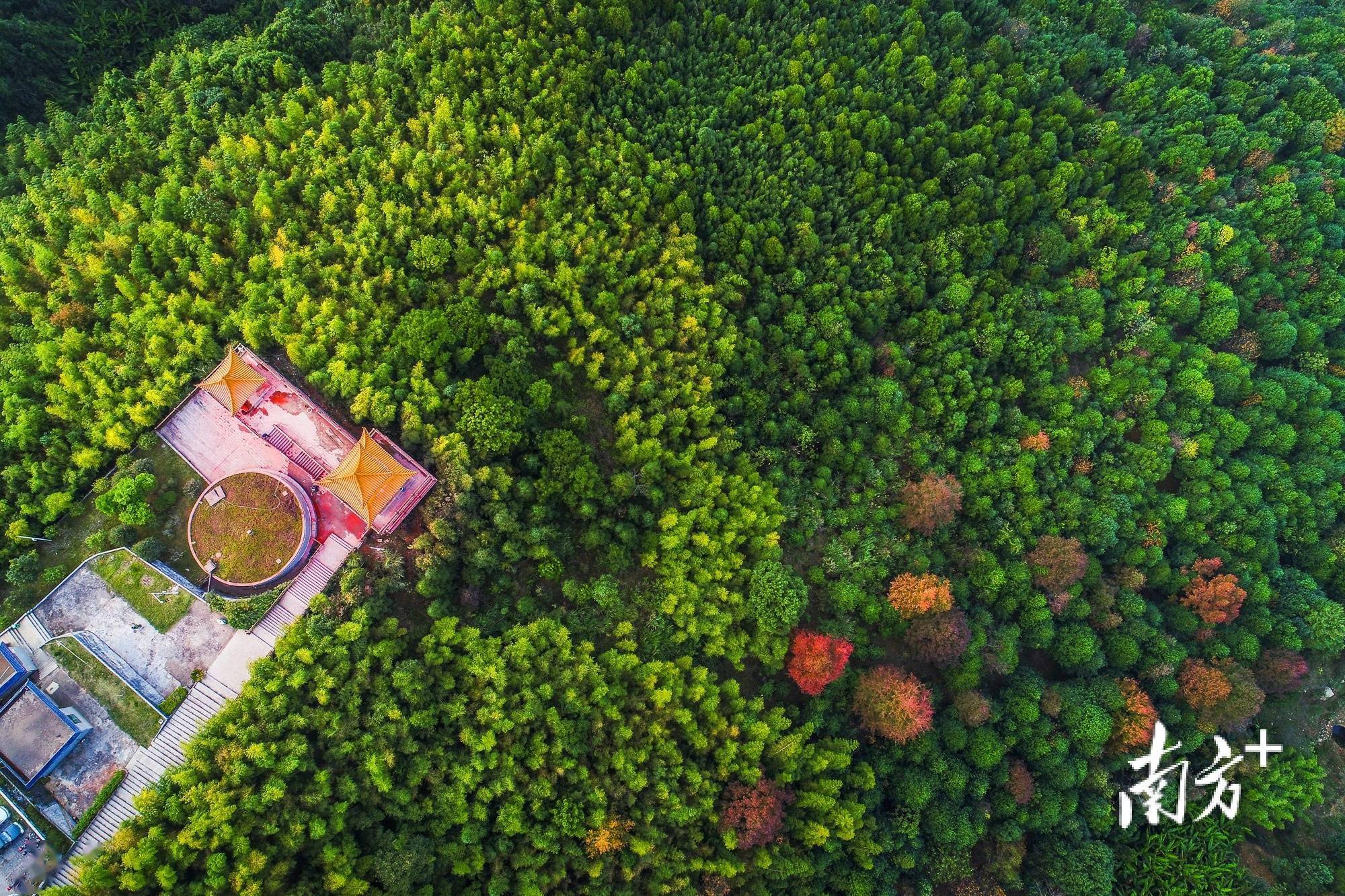 向森林要食物，要打开思路也要遵循规律