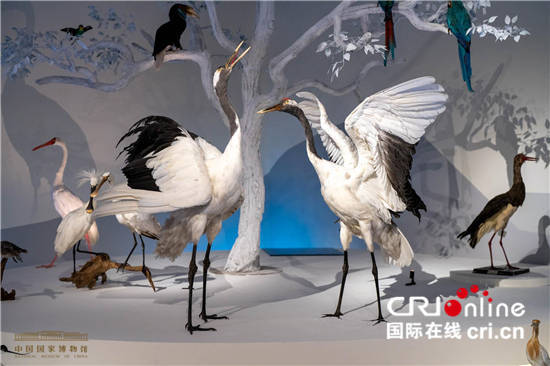 中国国家博物馆首个自然生态类展览展现生物多样之美