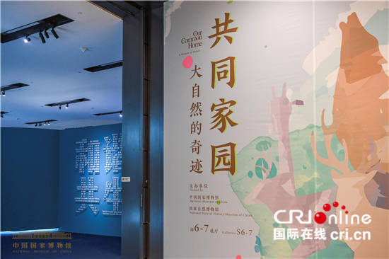 中国国家博物馆首个自然生态类展览展现生物多样之美