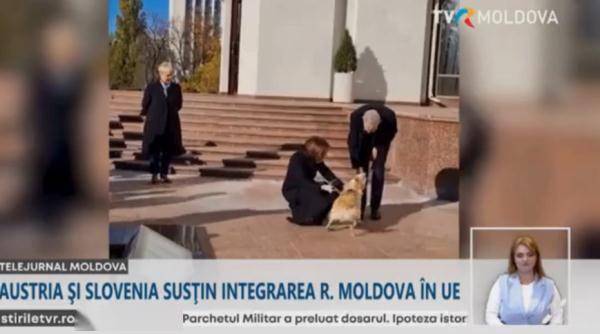 外媒：在总统官邸，摩尔多瓦总统的爱犬把到访奥地利总统的手咬伤了