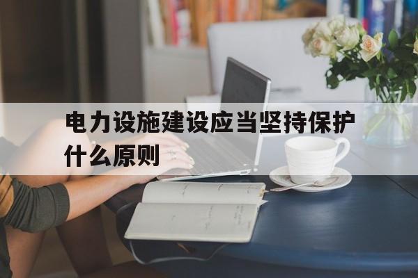 电力设施建设应当坚持保护什么原则(电力设施保护工作的路线方针和原则)