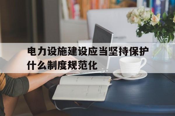 包含电力设施建设应当坚持保护什么制度规范化的词条