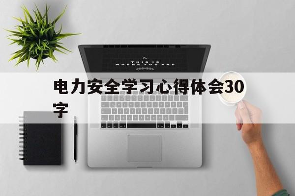 电力安全学习心得体会30字(电力安全心得体会300字左右)