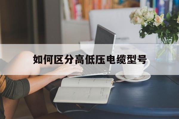 如何区分高低压电缆型号(如何区分高低压电缆型号和规格)