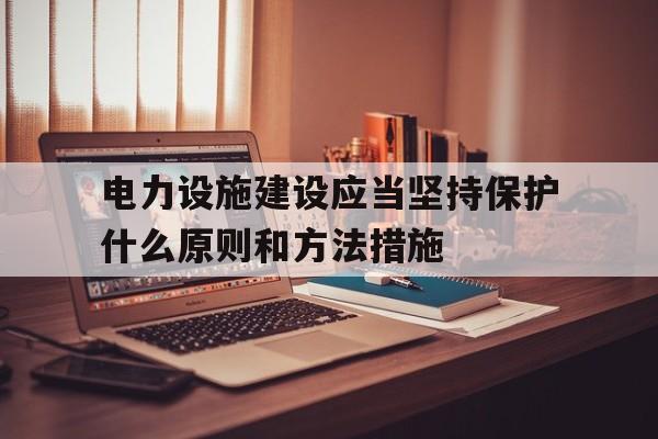 包含电力设施建设应当坚持保护什么原则和方法措施的词条