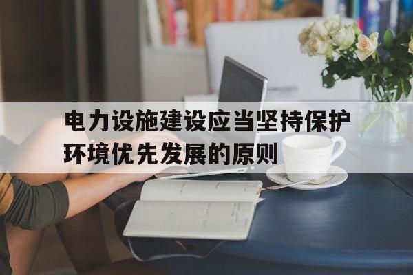 关于电力设施建设应当坚持保护环境优先发展的原则的信息