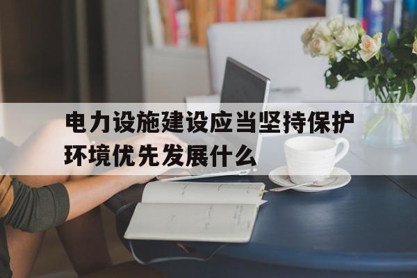 关于电力设施建设应当坚持保护环境优先发展什么的信息