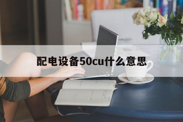 配电设备50cu什么意思(pz50配电箱的50是什么意思)