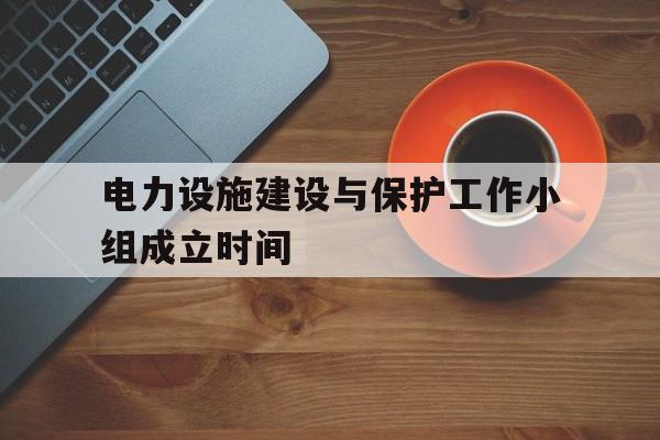 关于电力设施建设与保护工作小组成立时间的信息