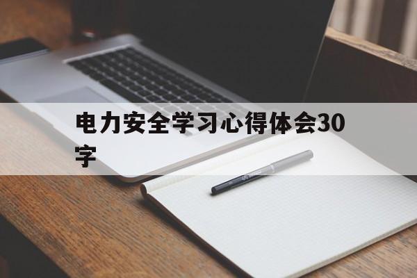 电力安全学习心得体会30字(电力安全心得体会总结3000字)