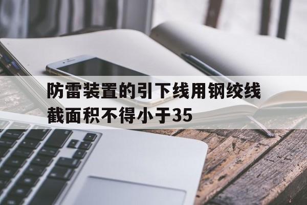 包含防雷装置的引下线用钢绞线截面积不得小于35的词条