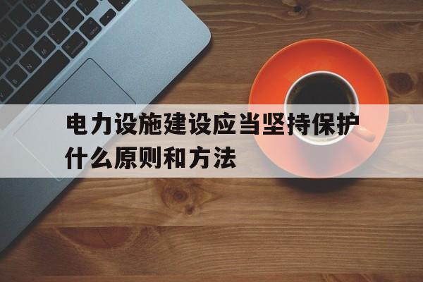 关于电力设施建设应当坚持保护什么原则和方法的信息