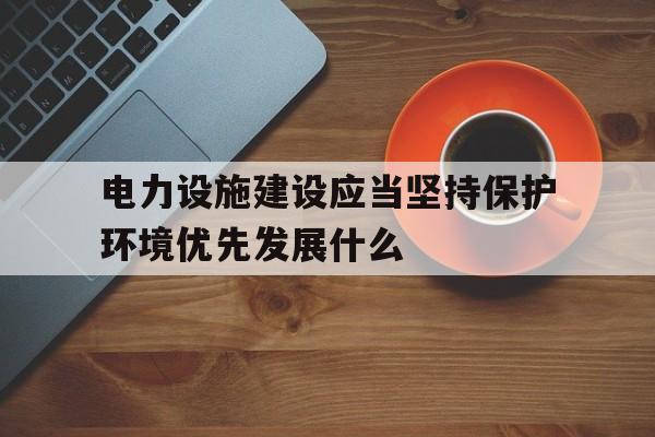 包含电力设施建设应当坚持保护环境优先发展什么的词条