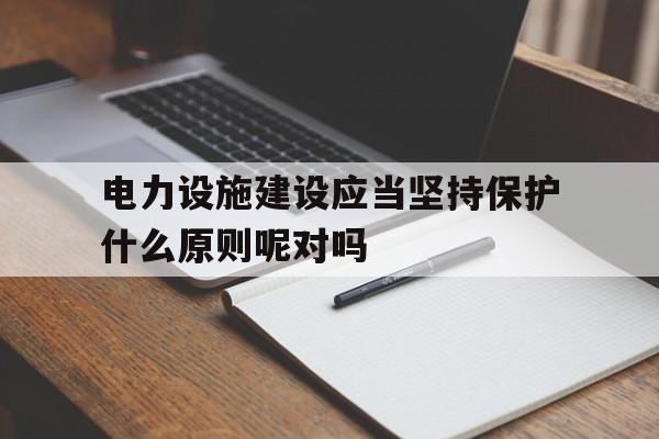 包含电力设施建设应当坚持保护什么原则呢对吗的词条