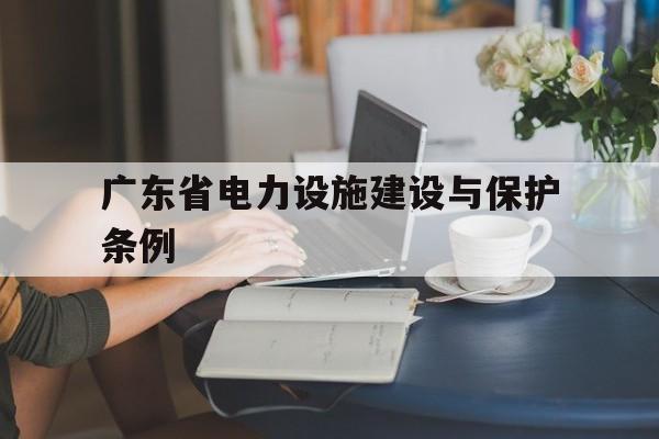 广东省电力设施建设与保护条例(广东省电力设施保护条例2019)