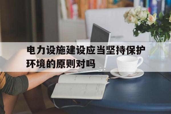 包含电力设施建设应当坚持保护环境的原则对吗的词条