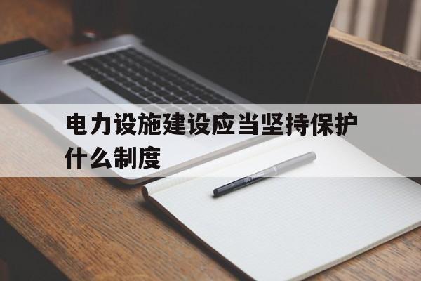 电力设施建设应当坚持保护什么制度(电力设施建设应当坚持保护什么制度安全)