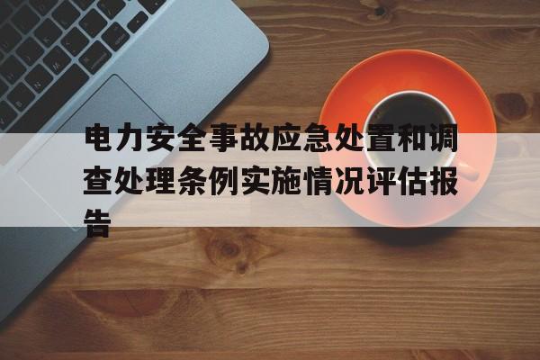 包含电力安全事故应急处置和调查处理条例实施情况评估报告的词条