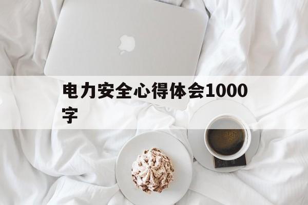 电力安全心得体会1000字(电力法律法规心得体会800字)