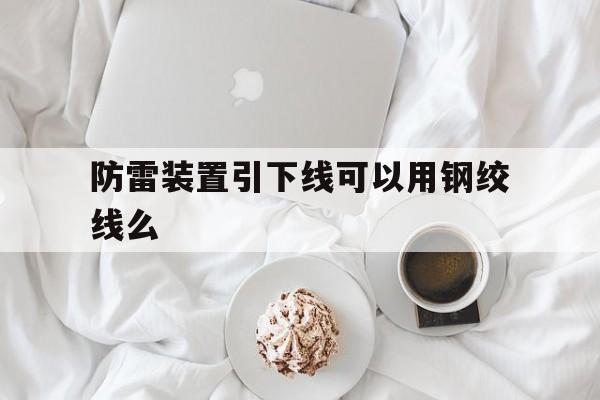 防雷装置引下线可以用钢绞线么(防雷装置的引下线用钢绞线截面积)